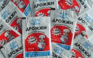 Дрожжевая выпечка. мифы и реальность