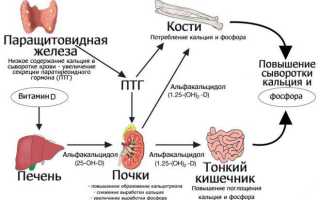 Как выявляется отклонение показателей паратгормона