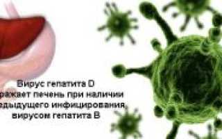 Гепатит d: что это такое, как передается, симптомы, лечение и прогноз