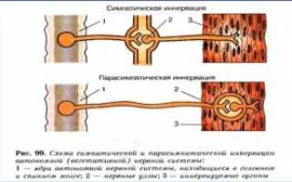 Дисфункция вегетативной нервной системы