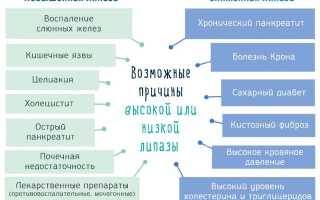 Повышенная липаза в крови причины и лечение