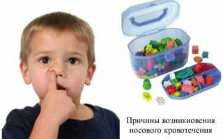 Почему у ребенка из носа может идти кровь, как оказать первую помощь в домашних условиях, какова тактика лечения?