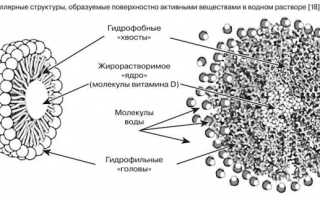 Эргокальциферол (витамин d2)