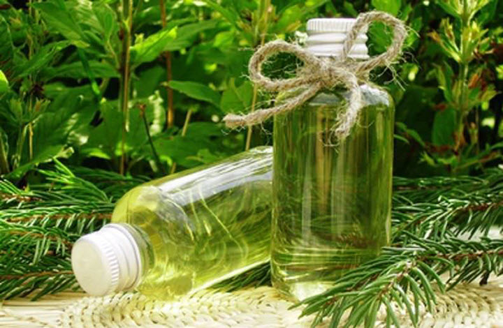 хвойный отвар