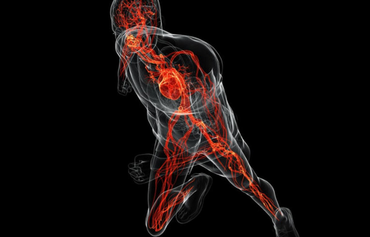 Анализ крови РПГА