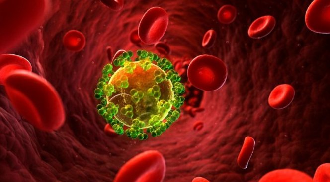 Анализ крови