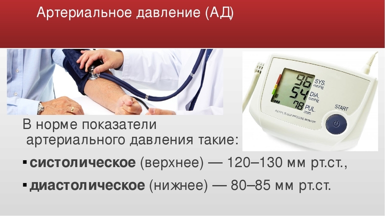 Артериальное давление человека