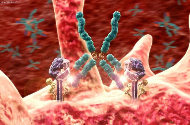 Аутоиммунные расстройства