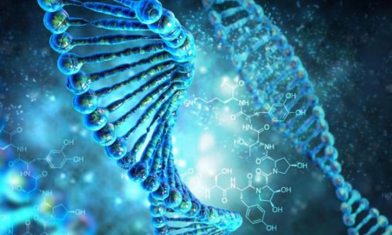 Бета талассемия