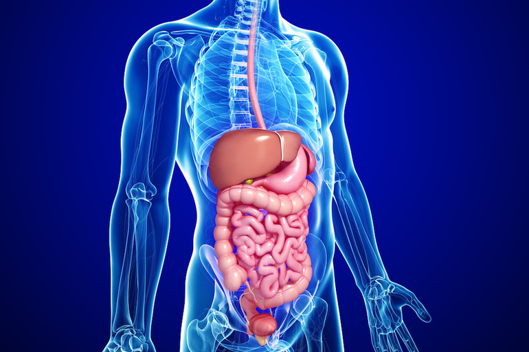 Болезни внутренних органов