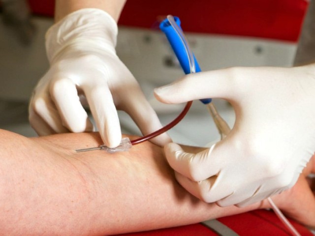 донор крови