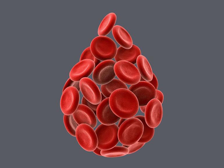 эритроциты в крови