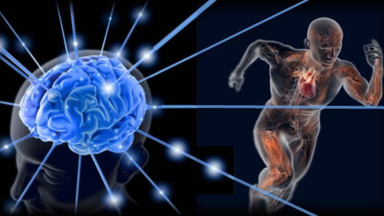 Фармакологические свойства препарата