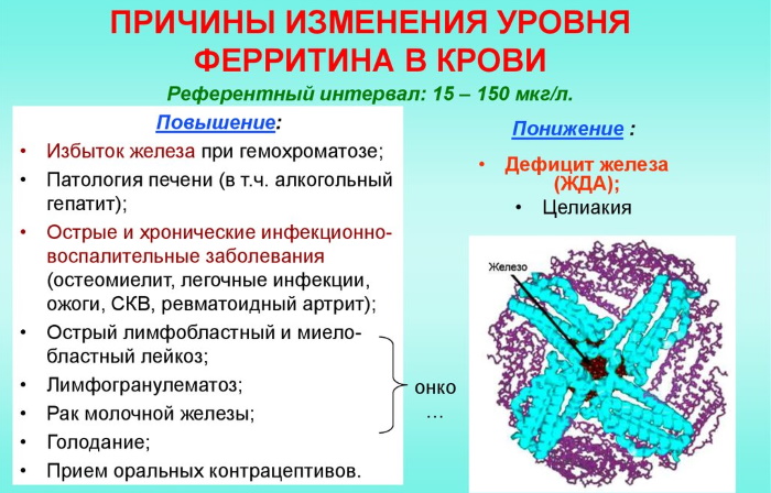 ferritin-prichiny