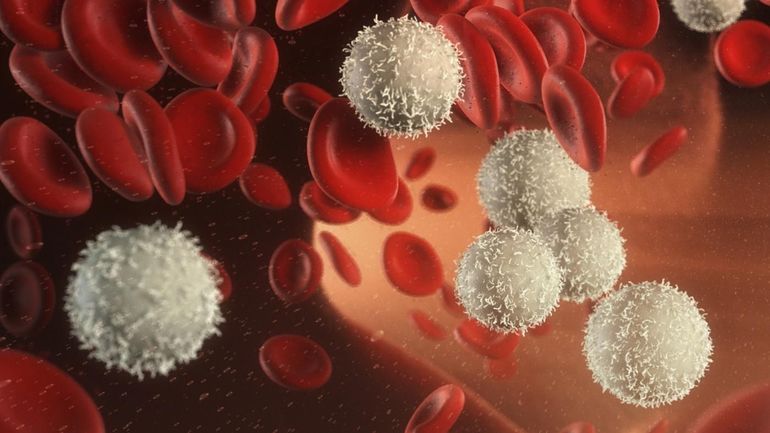 Функции белых клеток