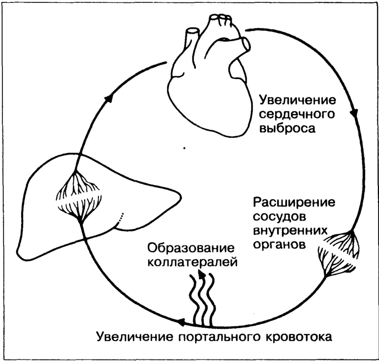 Гемодинамика