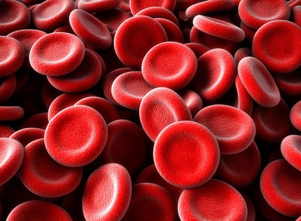 Норма гемоглобина при беременности