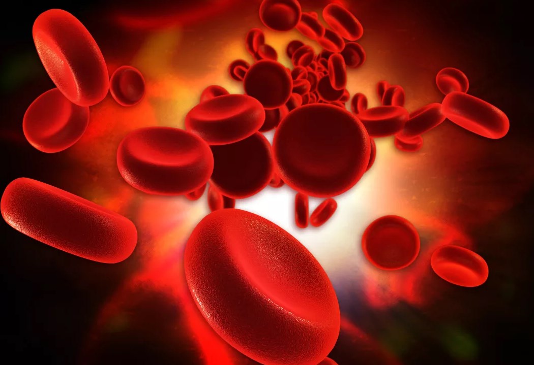 Уровень железа в организме