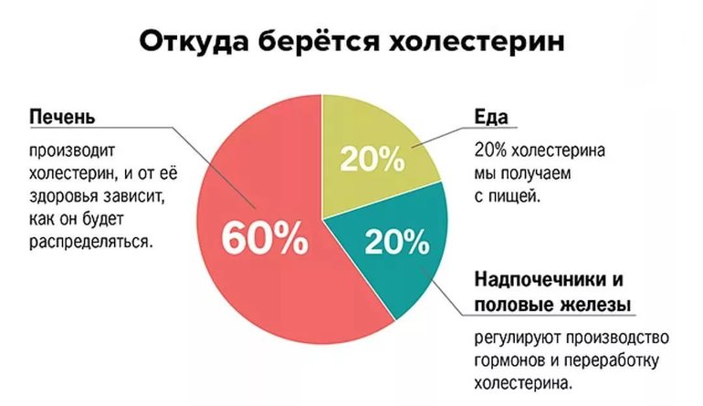 Холестерин и холестерол