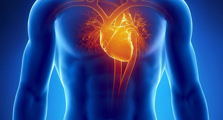 Хронический или острый эндокардит.