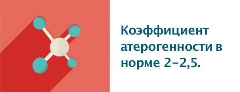 Индекс атерогенности норма у женщин