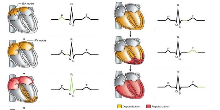 Клиническая картина