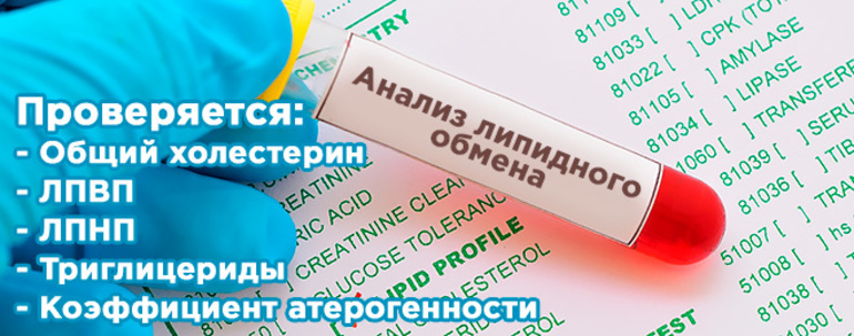 Коэффициент атерогенности повышен, причины