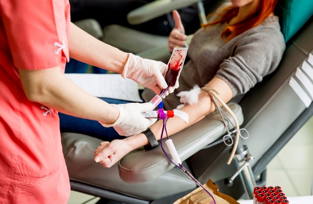 сдает кровь