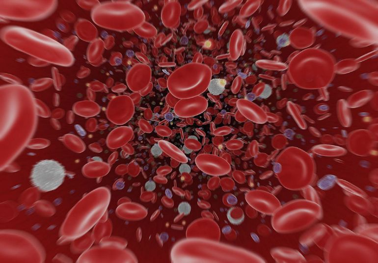 Кровь человека