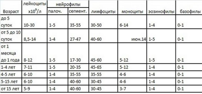 Лейкоциты в крови у ребенка норма