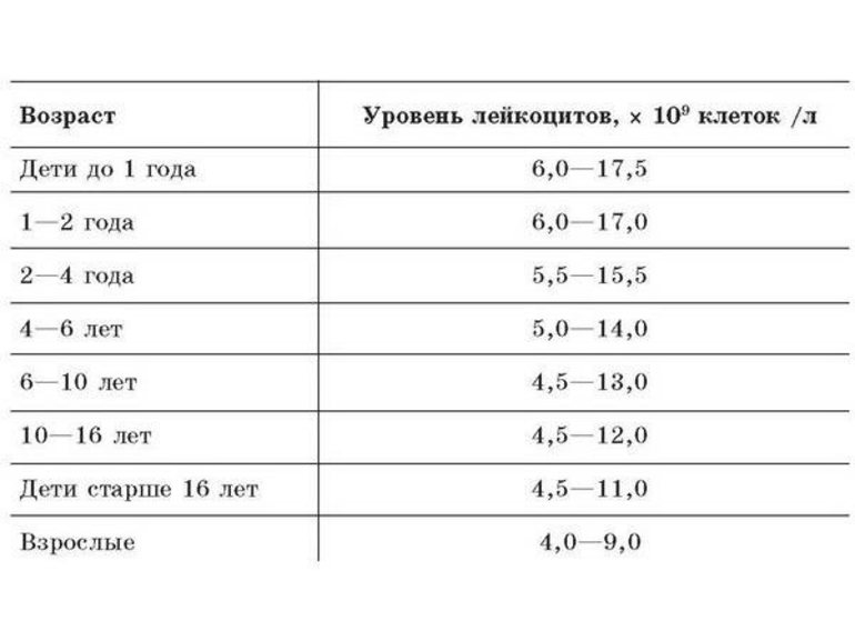 Лейкоциты в крови у ребенка