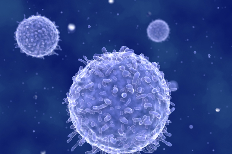 Лимфоциты продуцируют антитела к вирусным заболеваниям