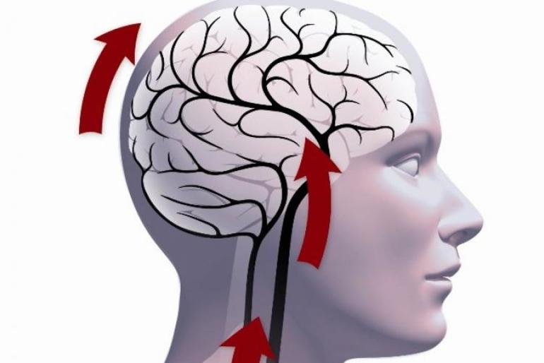 Механизмы формирования