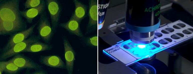 Методы диагностики