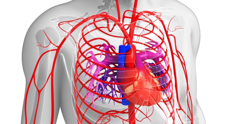 Методы лечения гипертензии