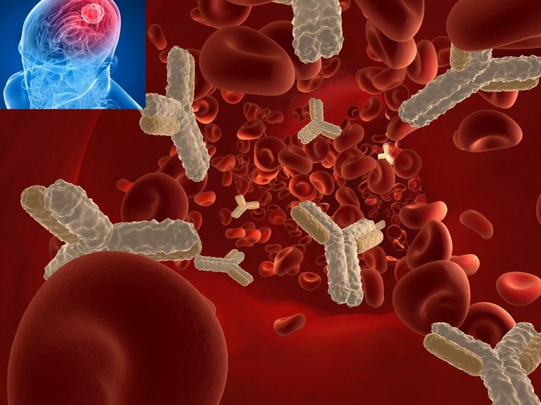 Микроорганизмы стимулируют запуск выработки иммуноглобулинов