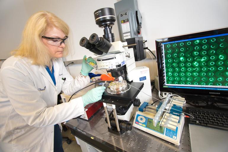 Моноцитоз причины у взрослых