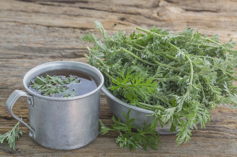 Народные способы нормализовать уровень антител