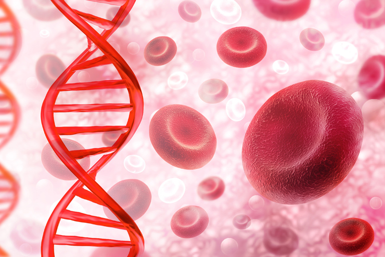 Для чего нужен гемоглобин