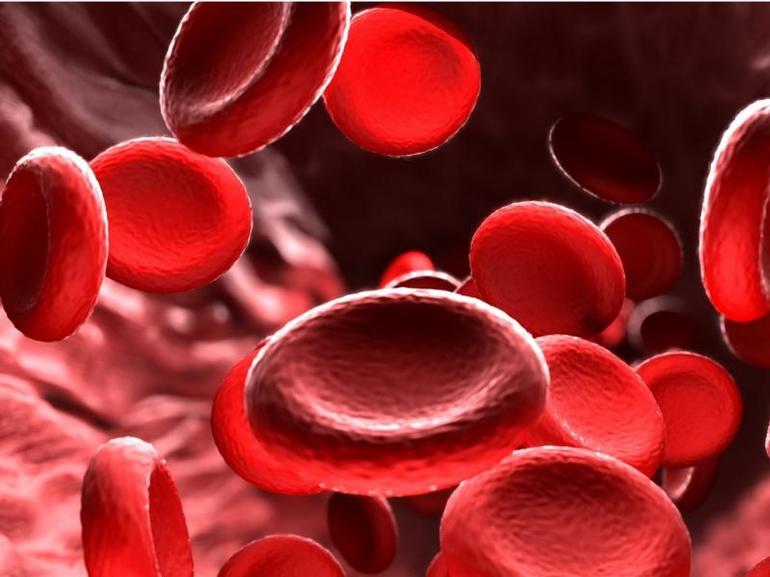 Общий анализ крови: показатели и их значение