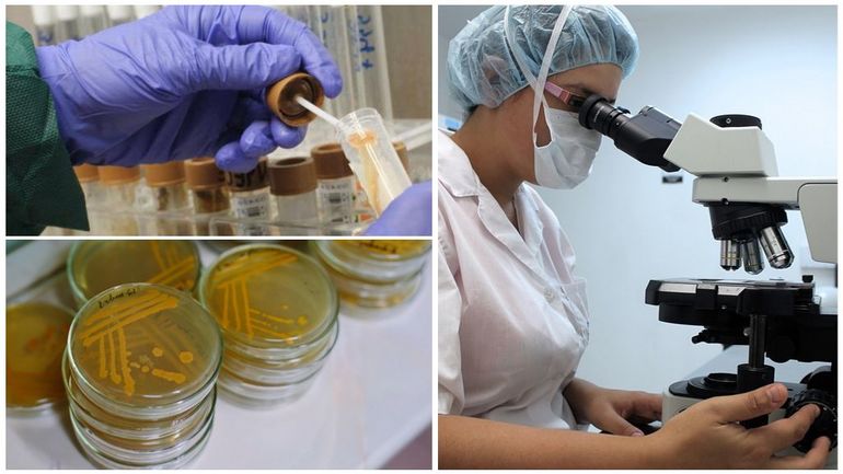 Обследование на наличие крови в кале