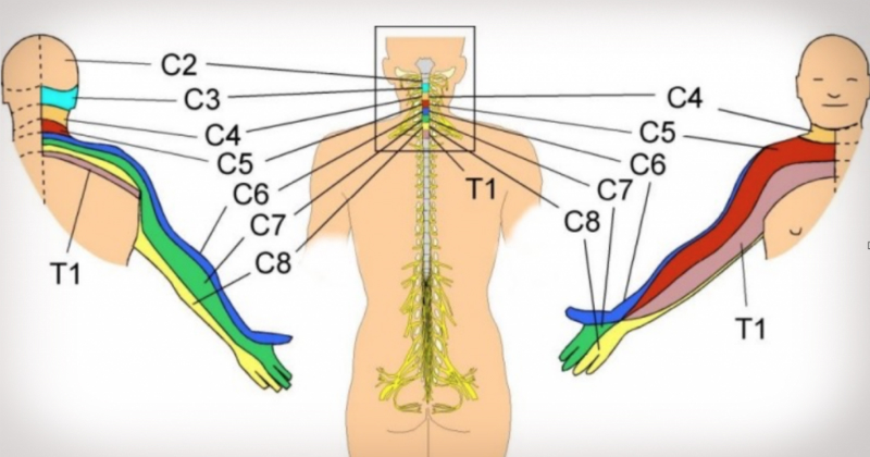 онемение пальцев
