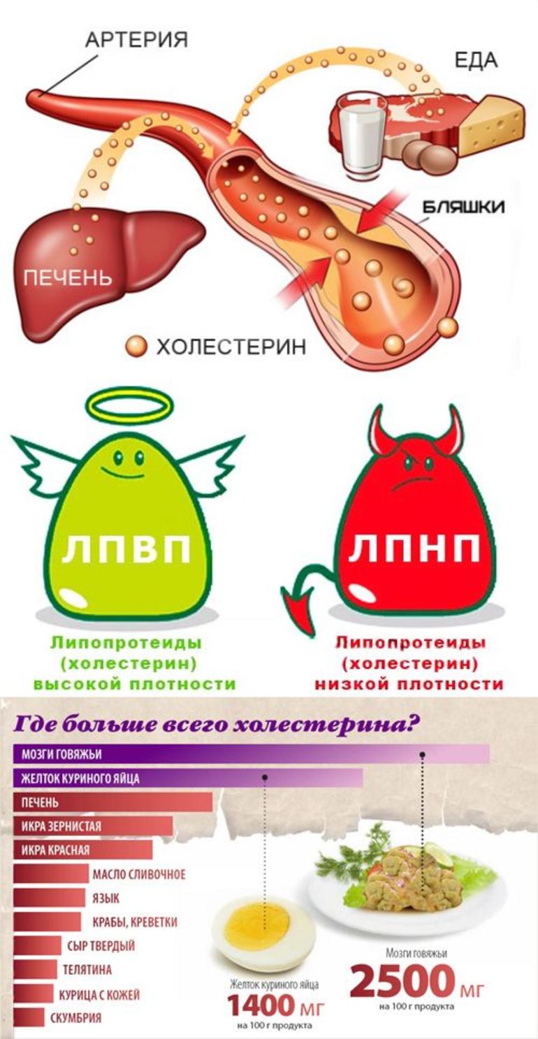 Определение холестерина у женщин