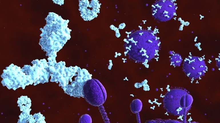 Особые белки-антигены