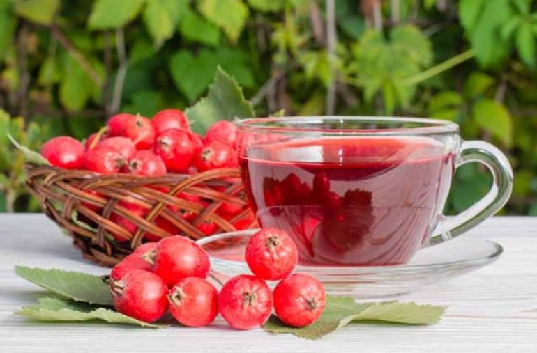 Отвар из плодов боярышника
