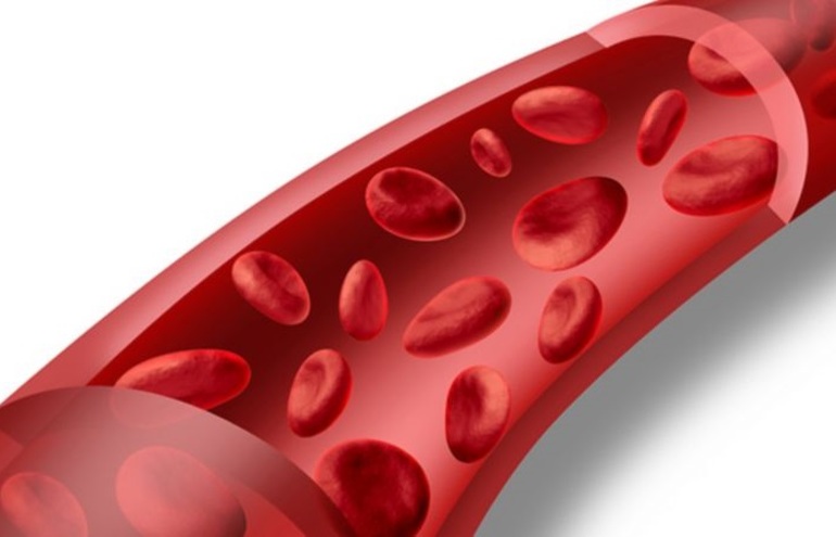 За что отвечает гемоглобин