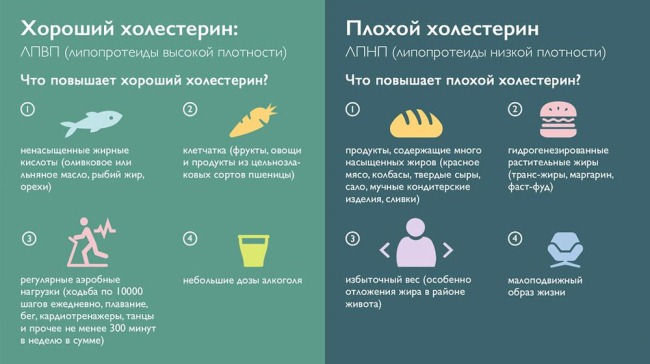 plohoj i horoshij holesterin