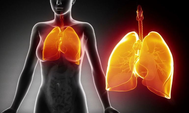 Пневмания легких