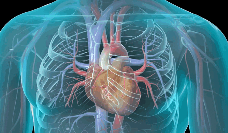 Почему болит сердце