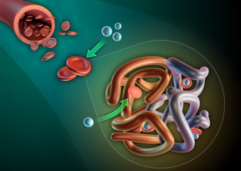 Повышенные эритроциты в крови